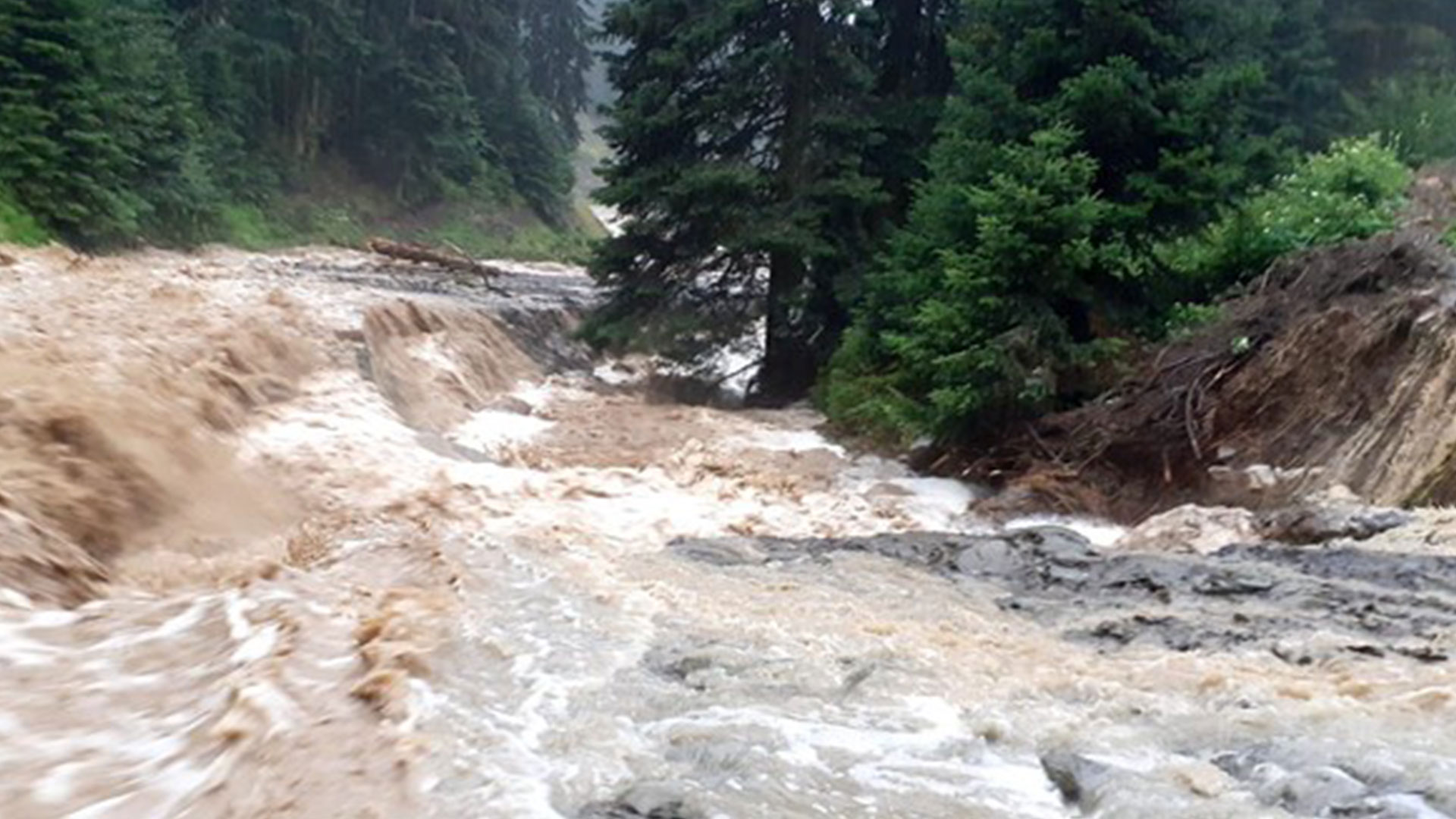 Katastrof Hasarları