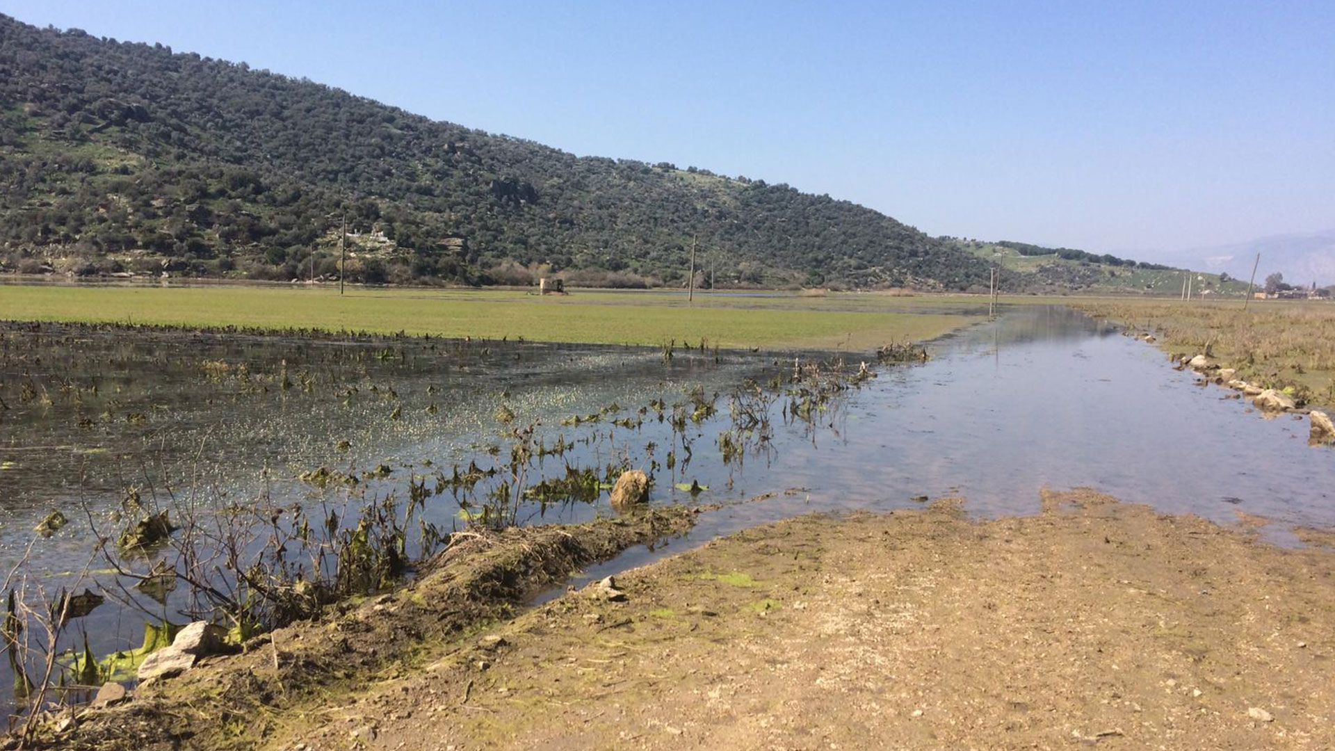 Construction Claims 11